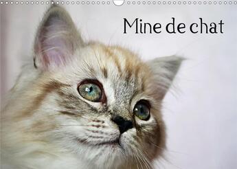 Couverture du livre « Mine de chat calendrier mural 2020 din a3 horizontal - photos fascinantes des tigres » de Chrystal Jennif aux éditions Calvendo