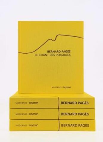 Couverture du livre « Bernard Pagès » de Maryline Desbiolles et Colin Lemoine et Brigitte Leal et Jason Smith aux éditions Iac Editions D'art