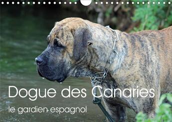 Couverture du livre « Dogue des canaries le gardien espagnol calendrier mural 2020 din a4 horizontal - chien de race espag » de Wobst Petra aux éditions Calvendo