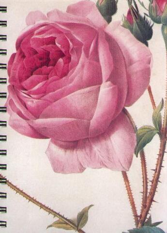 Couverture du livre « Roses-trilingue - bb » de  aux éditions Taschen