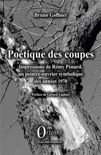 Couverture du livre « Poétique des coupes ; impressions de Rémy Pénard, une peintre-ouvrier symbolique des années 1970 » de Bruno Goffinet aux éditions Orizons