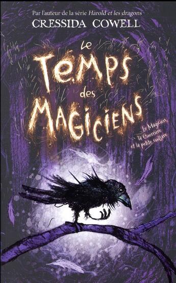 Couverture du livre « Le temps des magiciens ; le magicien, la guerrière et la petite cuillère » de Cressida Cowell aux éditions Hachette Romans