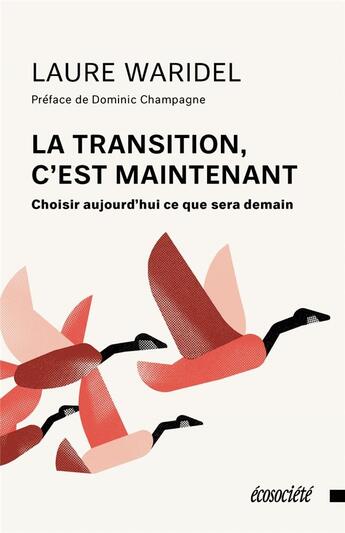 Couverture du livre « La transition, c'est maintenant ; choisir aujourd'hui ce que sera demain » de Laure Waridel aux éditions Ecosociete