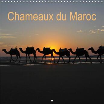 Couverture du livre « Trekking avec des chameaux au » de Weber Www.Tief aux éditions Calvendo