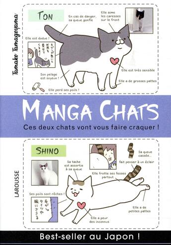 Couverture du livre « Manga chats » de Tamako-T aux éditions Larousse