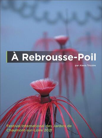 Couverture du livre « À rebrousse-poil » de Alexis Tricoire aux éditions Editions Du Net