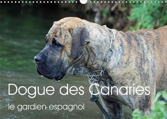 Couverture du livre « Dogue des canaries le gardien espagnol calendrier mural 2020 din a3 horizontal - chien de race espag » de Wobst Petra aux éditions Calvendo