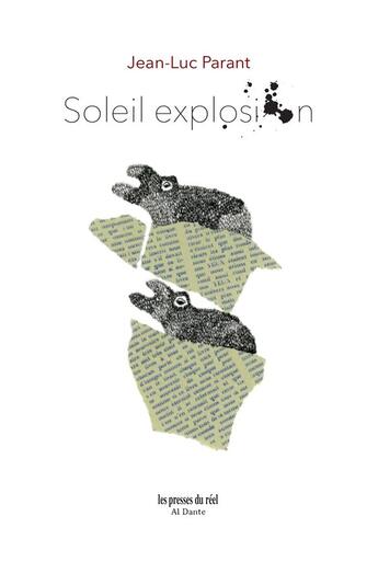 Couverture du livre « Soleil explosion » de Jean-Luc Parant aux éditions Les Presses Du Reel