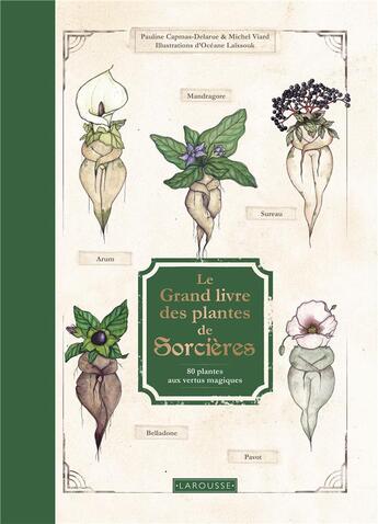 Couverture du livre « Le grand livre des plantes de sorcières : 80 plantes aux vertus magiques » de Michel Viard et Pauline Capmas-Delarue et Oceane Laissouk aux éditions Larousse