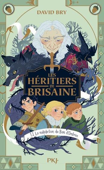 Couverture du livre « Les héritiers de Brisaine - Tome 1 » de David Bry aux éditions Pocket Jeunesse