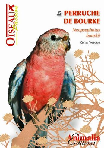 Couverture du livre « La perruche de Bourke » de Remy Vesque aux éditions Animalia