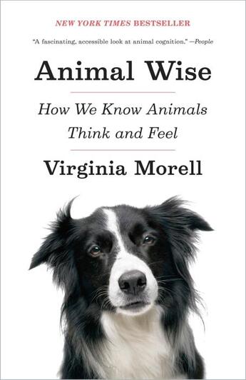 Couverture du livre « ANIMAL WISE - HOW WE KNOW ANIMALS THINK AND FEEL » de Virginia Morell aux éditions Broadway Books