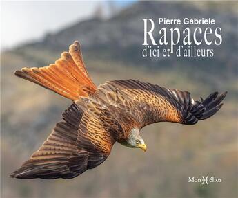 Couverture du livre « Rapaces » de Pierre Gabriele aux éditions Monhelios