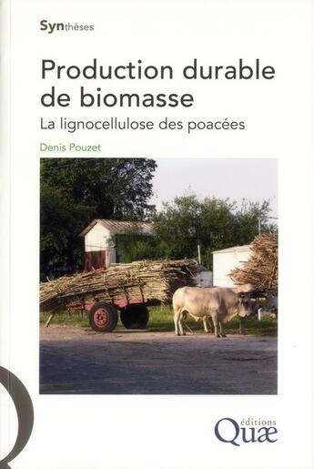 Couverture du livre « Production durable de biomasse ; la lignocellulose des poacées » de Denis Pouzet aux éditions Quae