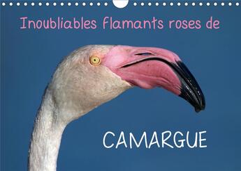 Couverture du livre « Inoubliables flamants roses de camargue calendrier mural 2020 din a4 horizontal - les flamants roses » de Elena Duvernay aux éditions Calvendo