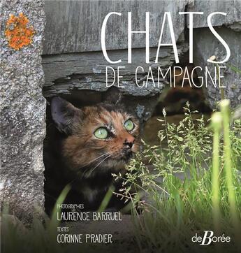 Couverture du livre « Chats de campagne » de Laurence Barruel et Corinne Pradier aux éditions De Boree