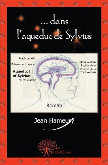Couverture du livre « ...dans l'aqueduc de sylvius » de Jean Hameury aux éditions Edilivre