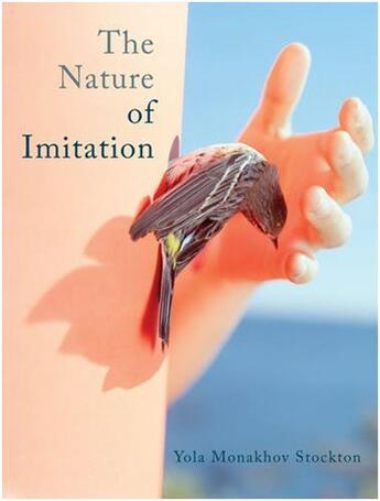 Couverture du livre « Yola monakhov stockton the nature of imitation » de Monakhov Stockton Yo aux éditions Schilt