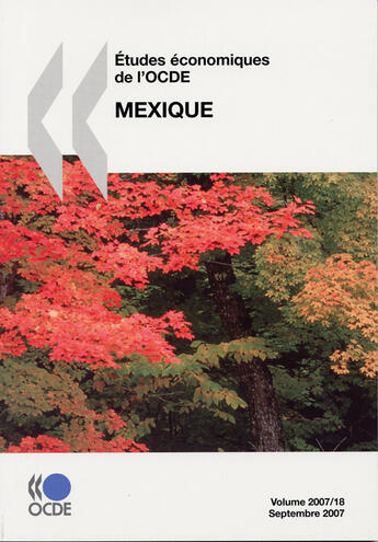 Couverture du livre « Études économiques de l'OCDE ; Mexique (édition 2007) » de  aux éditions Ocde