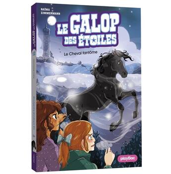 Couverture du livre « Le galop des étoiles Tome 12 : Un cheval dans la brume » de Ariane Delrieu et Naima Zimmermann aux éditions Play Bac