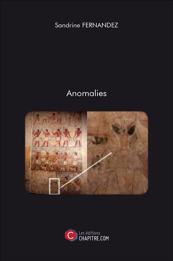 Couverture du livre « Anomalies » de Sandrine Fernandez aux éditions Chapitre.com