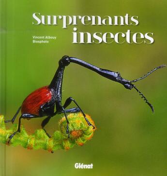 Couverture du livre « Surprenants insectes » de Vincent Albouy aux éditions Glenat