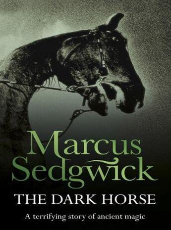 Couverture du livre « The Dark Horse » de Marcus Sedgwick aux éditions Orion Digital