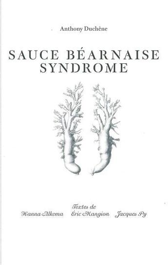 Couverture du livre « Sauce béarnaise syndrome » de  aux éditions Editions B42