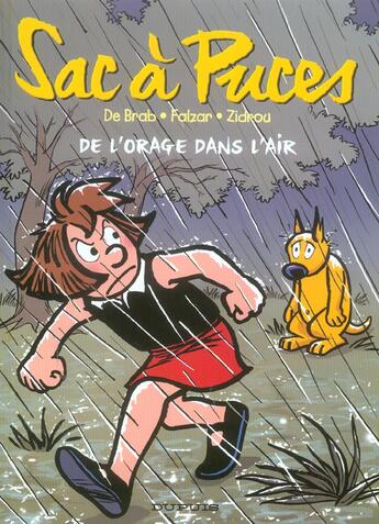 Couverture du livre « De l'orage dans l'air » de De Brab/Falzar aux éditions Dupuis