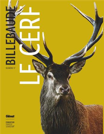 Couverture du livre « Billebaude - tome 17 - le cerf » de Malleray Anne aux éditions Glenat