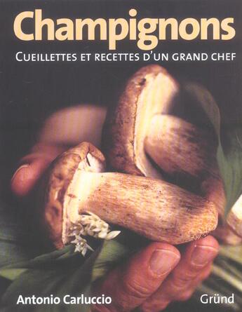 Couverture du livre « Champignons ; Cueillettes Et Recettes D'Un Grand Chef » de Antonio Carluccio aux éditions Grund