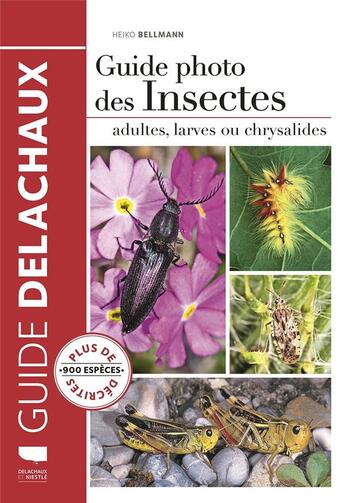 Couverture du livre « Guide photo des insectes ; adultes, larves ou chrysalides » de Heiko Bellmann aux éditions Delachaux & Niestle