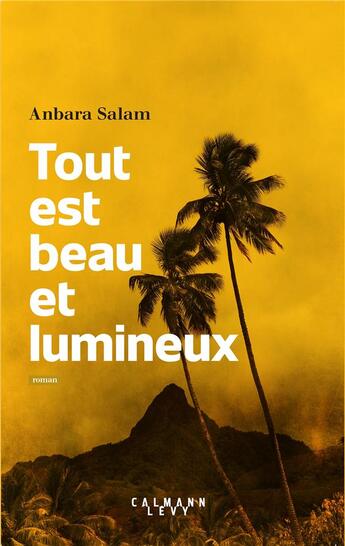 Couverture du livre « Tout est beau et lumineux » de Salam Anbara aux éditions Calmann-levy