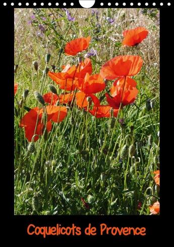 Couverture du livre « Coquelicots de provence calendrier mural 2018 din a4 vertica - photos des coquelicots de prov » de Dumont B aux éditions Calvendo