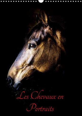 Couverture du livre « Portraits de chevaux en libert » de Xavier Bertrand aux éditions Calvendo