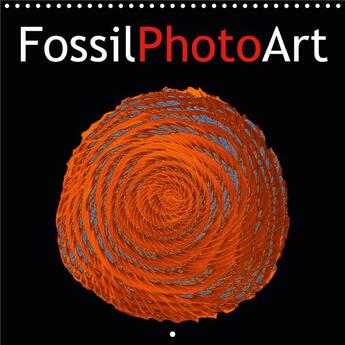 Couverture du livre « Fossilphotoart calendrier mural 2020 300 300 mm square - photos de fossiles manipulees » de Moosleitner Ger aux éditions Calvendo