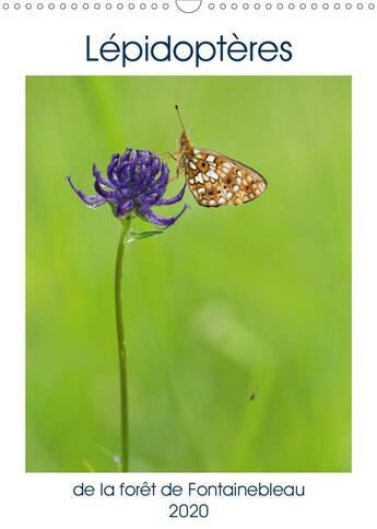 Couverture du livre « Lepidopteres de la foret de fontainebleau calendrier mural 2020 din a3 vertical - partez a la decouv » de Makhloufi Djama aux éditions Calvendo