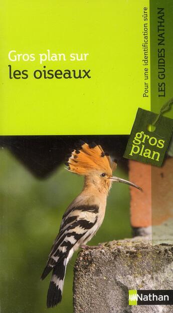 Couverture du livre « Gros plan sur : les oiseaux » de Wolfgang Lippert aux éditions Nathan