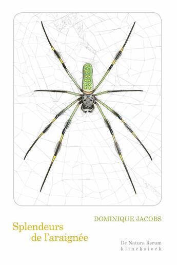 Couverture du livre « Splendeurs de l'araignée » de Dominique Jacobs aux éditions Klincksieck