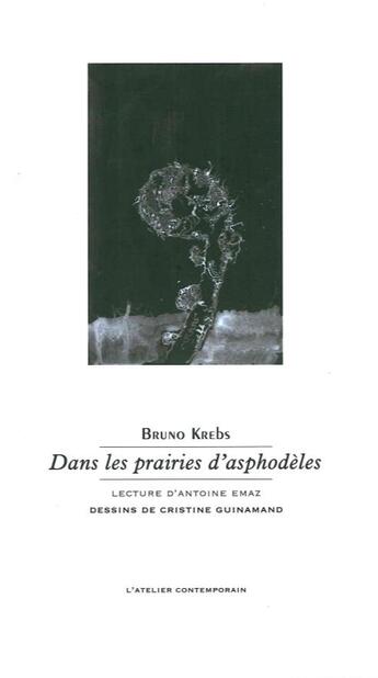 Couverture du livre « Dans les prairies d'Asphodèle » de Bruno Krebs aux éditions Atelier Contemporain