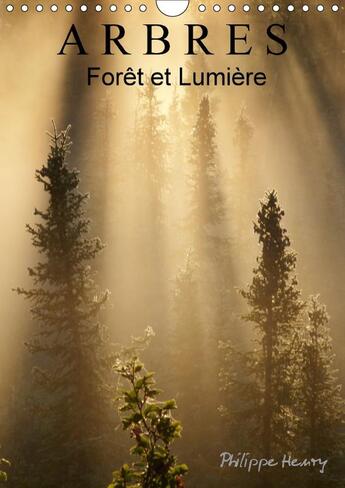 Couverture du livre « Arbres foret et lumiere calendrier mural 2018 din a4 vertica - des arbres dans toute leur bea » de Henry P aux éditions Calvendo