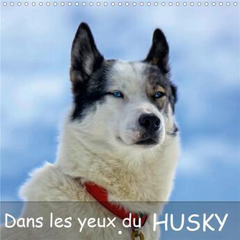 Couverture du livre « Dans les yeux du husky (Calendrier mural 2020 300 × 300 mm Square) ; Le chien husky aime courir, le voici pendant et après une course de traineaux. (Calendrier mensuel, 14 Pages ) » de Elena Duvernay aux éditions Calvendo