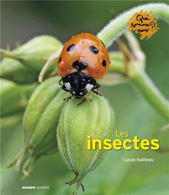 Couverture du livre « Les insectes » de Lucas Baliteau aux éditions Mango