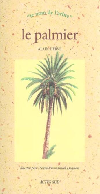 Couverture du livre « Palmier (le) - le nom de l'arbre » de Alain Herve aux éditions Actes Sud