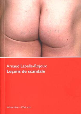 Couverture du livre « Lecons de scandale » de Labelle-Rojoux A. aux éditions Yellow Now