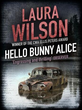 Couverture du livre « Hello Bunny Alice » de Laura Wilson aux éditions Quercus Publishing Digital