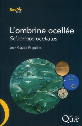 Couverture du livre « L'ombrine ocellée ; sciaenops ocellatus » de Jean-Claude Falguiere aux éditions Quae