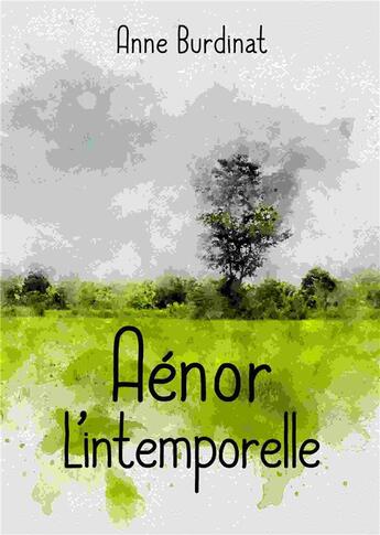 Couverture du livre « Aénor l'intemporelle » de Anne Burdinat aux éditions Publishroom Factory