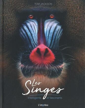 Couverture du livre « Les singes. intelligents et fascinants » de Tom Jackson aux éditions L'imprevu