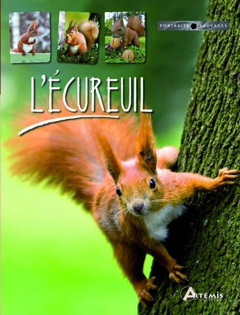 Couverture du livre « L'écureuil » de Jacqueline Visage aux éditions Artemis